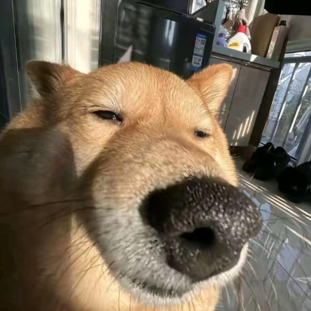 忧郁是我的天赋