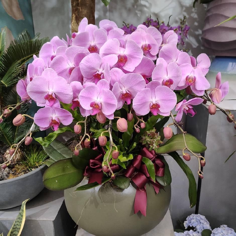 青州市双卉花卉园艺场