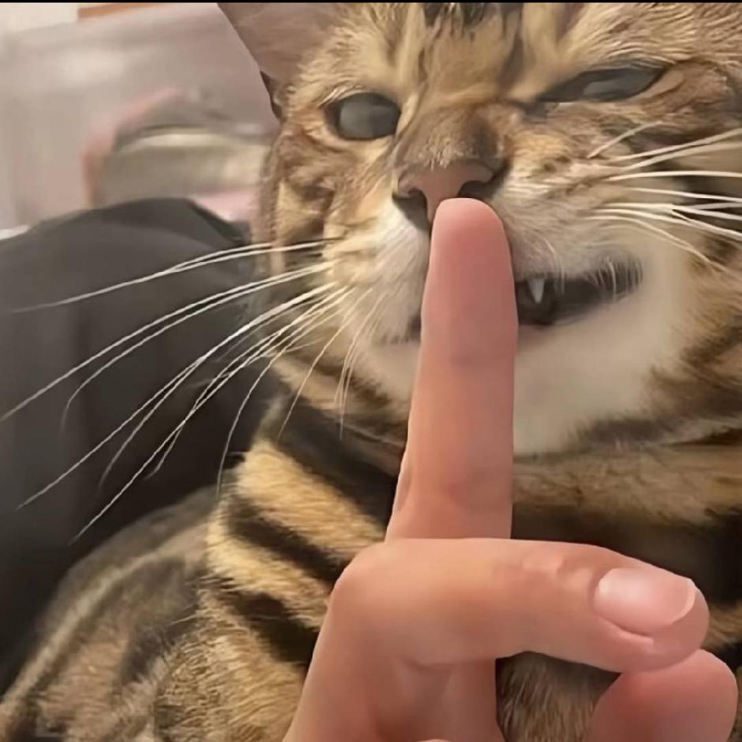 文胖