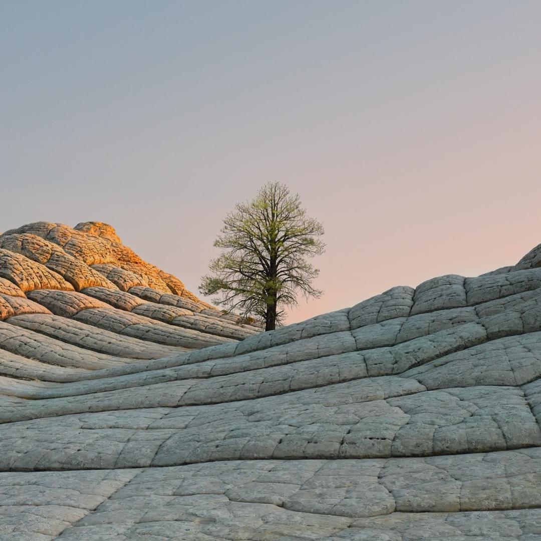 ꪋꪆᩚ༉💕͡喜气杨᭄杨꧔҉ꦿ࿐