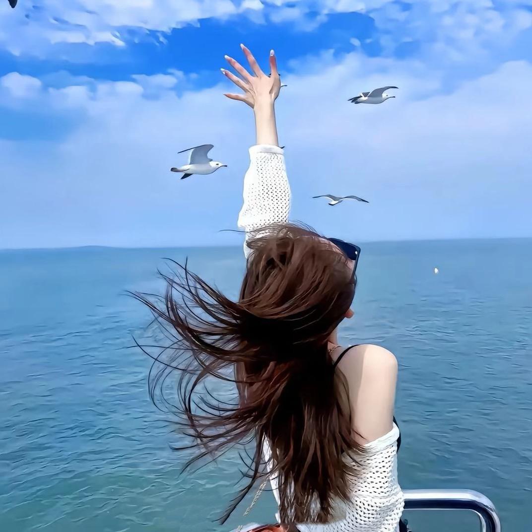 小锅爱追剧📺