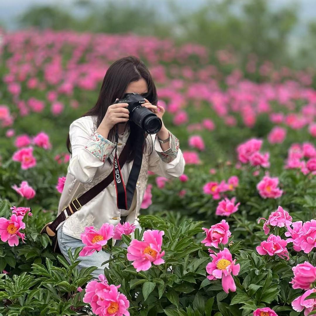 燕子🌸🌸🌺🌺