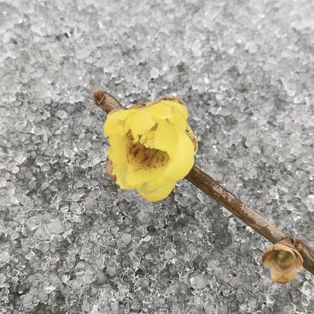 俊之颜（慕阳）
