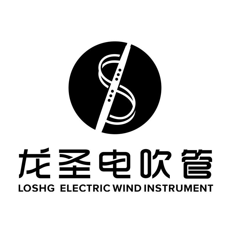 龙圣电吹管1店