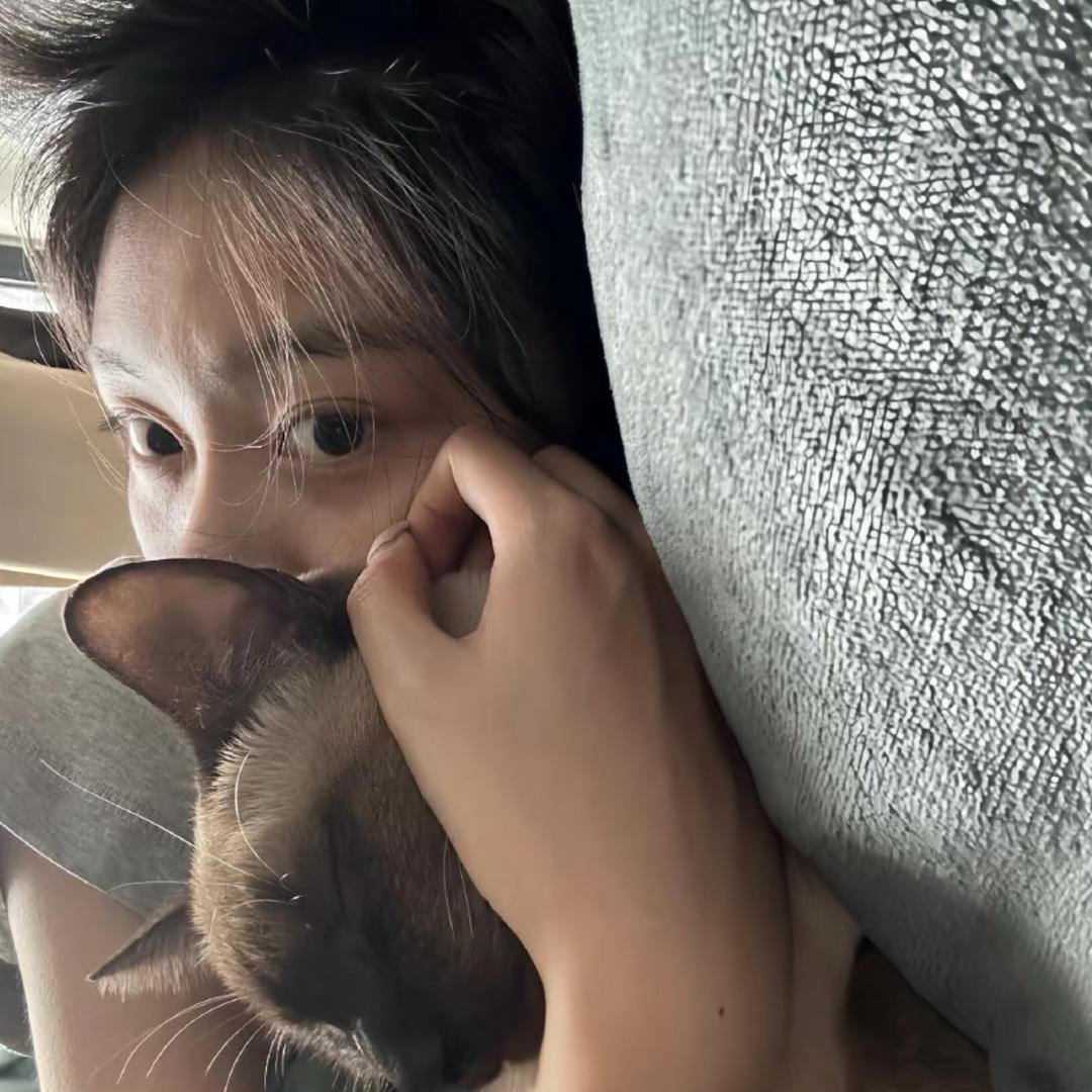 刘刘刘