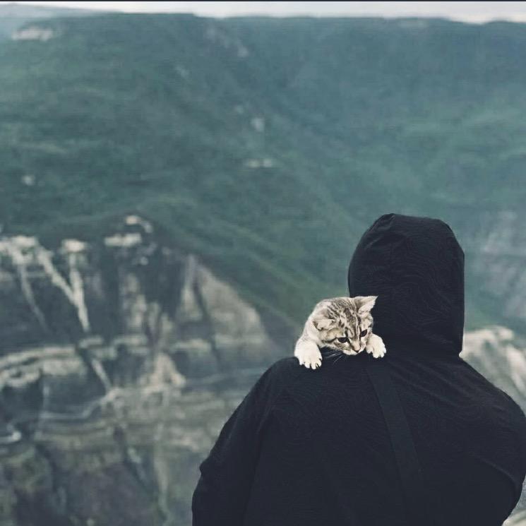 乌鲁木齐万田集团