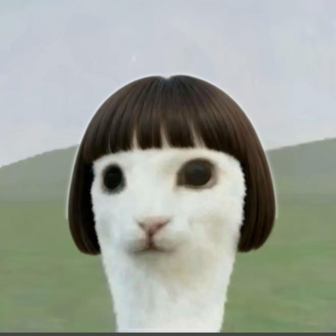 ╭(°A°`)╮