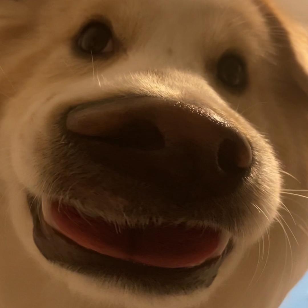 念念