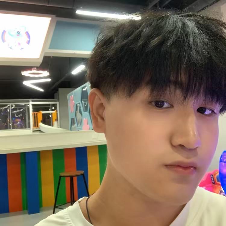 一只小翔子