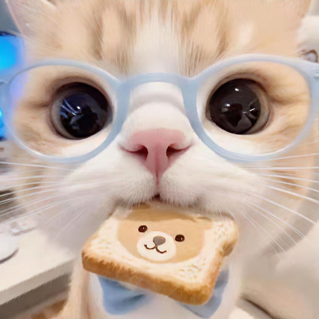 六福猫舍