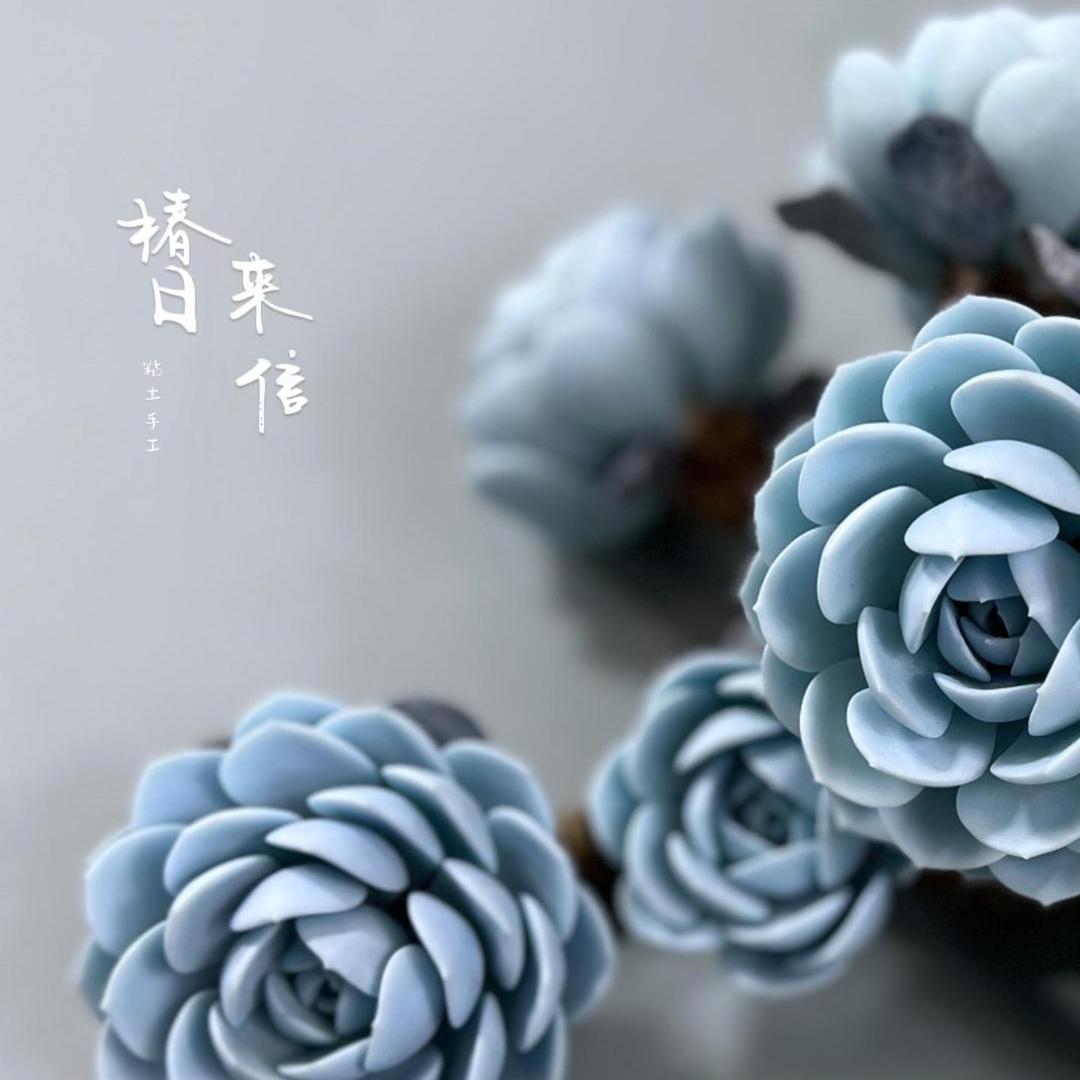 椿日来信