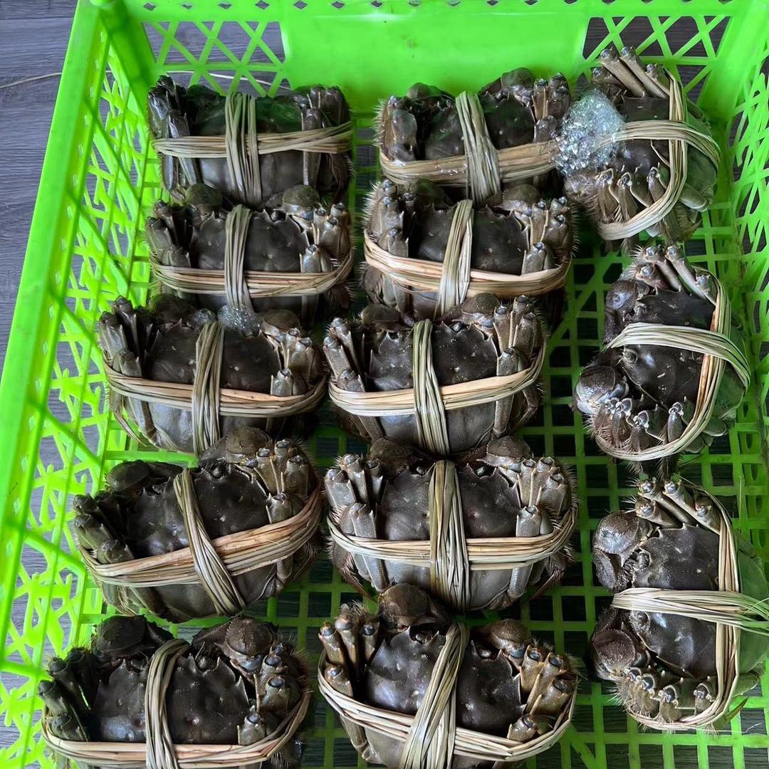 横行者（大闸蟹）