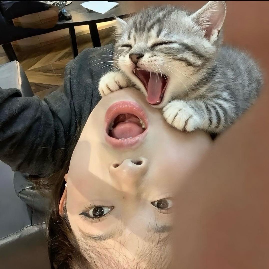 初秋叙.