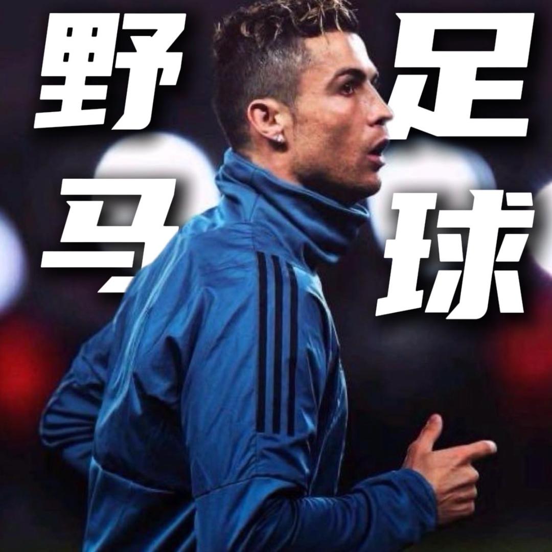 野马足球