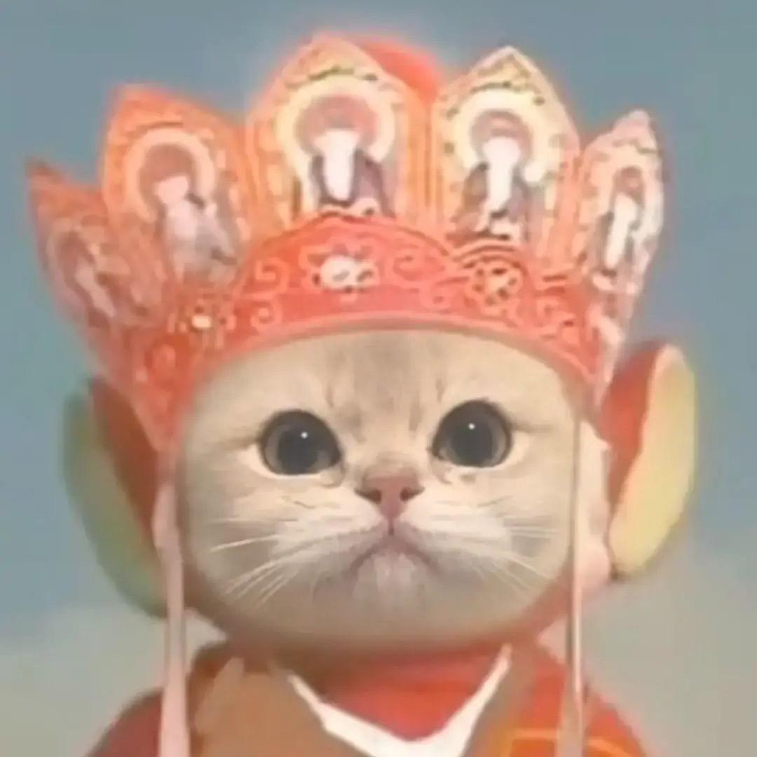 关注