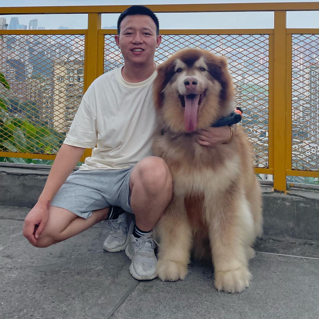 重庆张开心宠物个人号