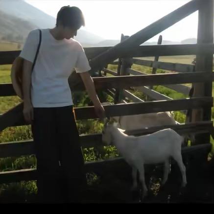 ㅤㅤ ㅤ ㅤ与众不同