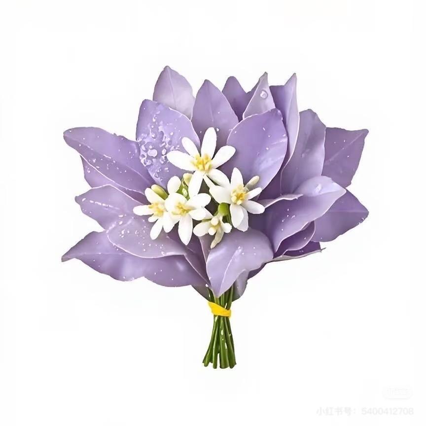 我爱兔兔
