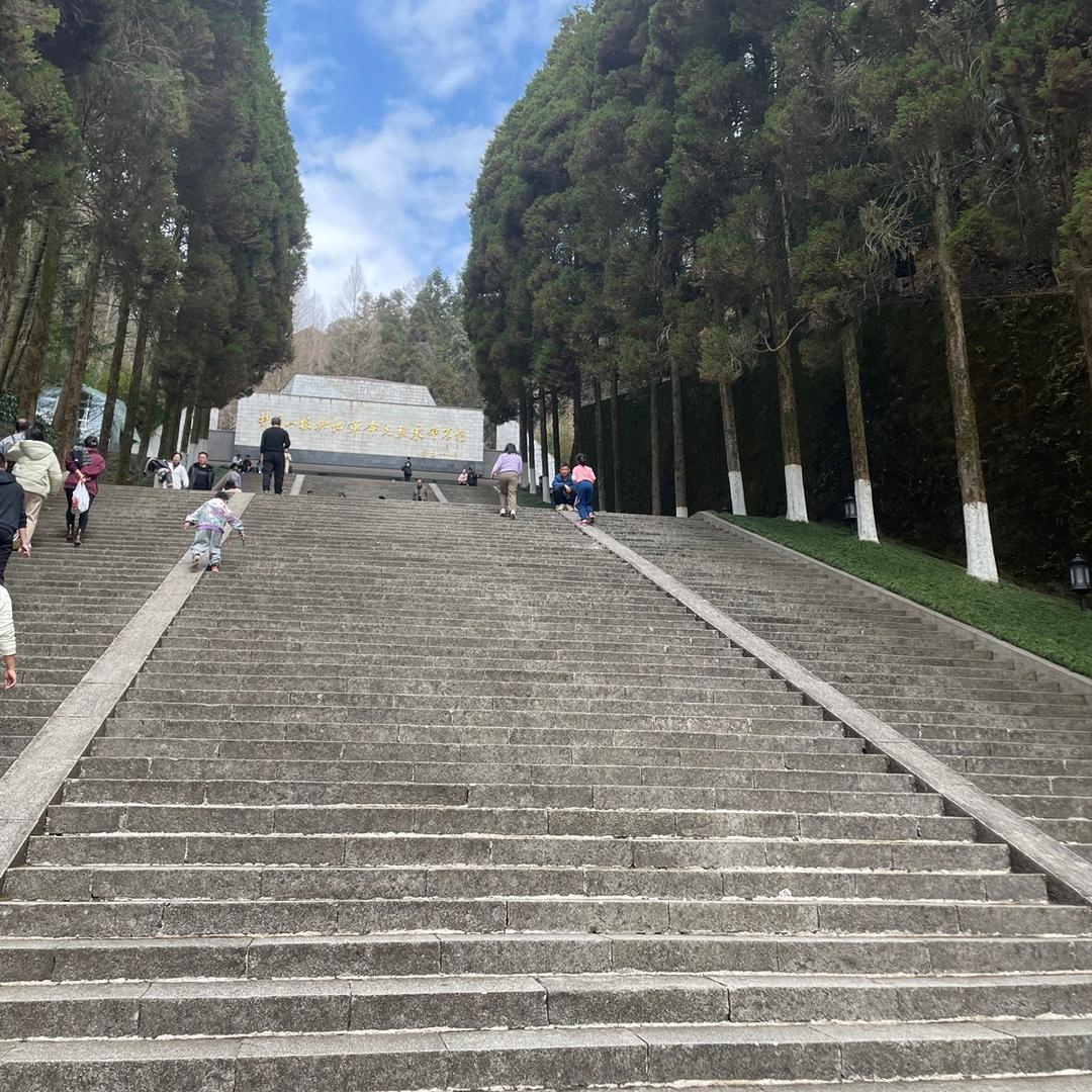 清颜美肤中心官方号