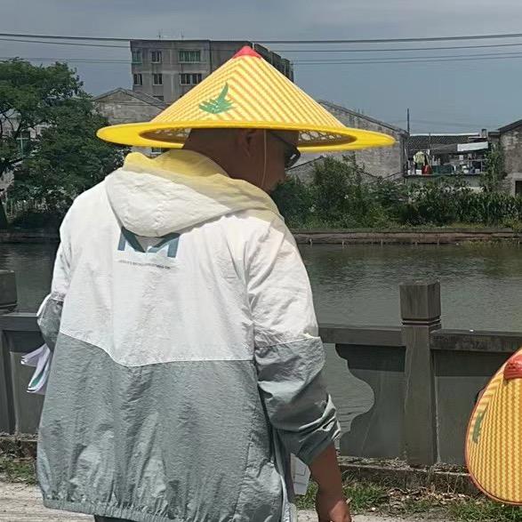 苏先生
