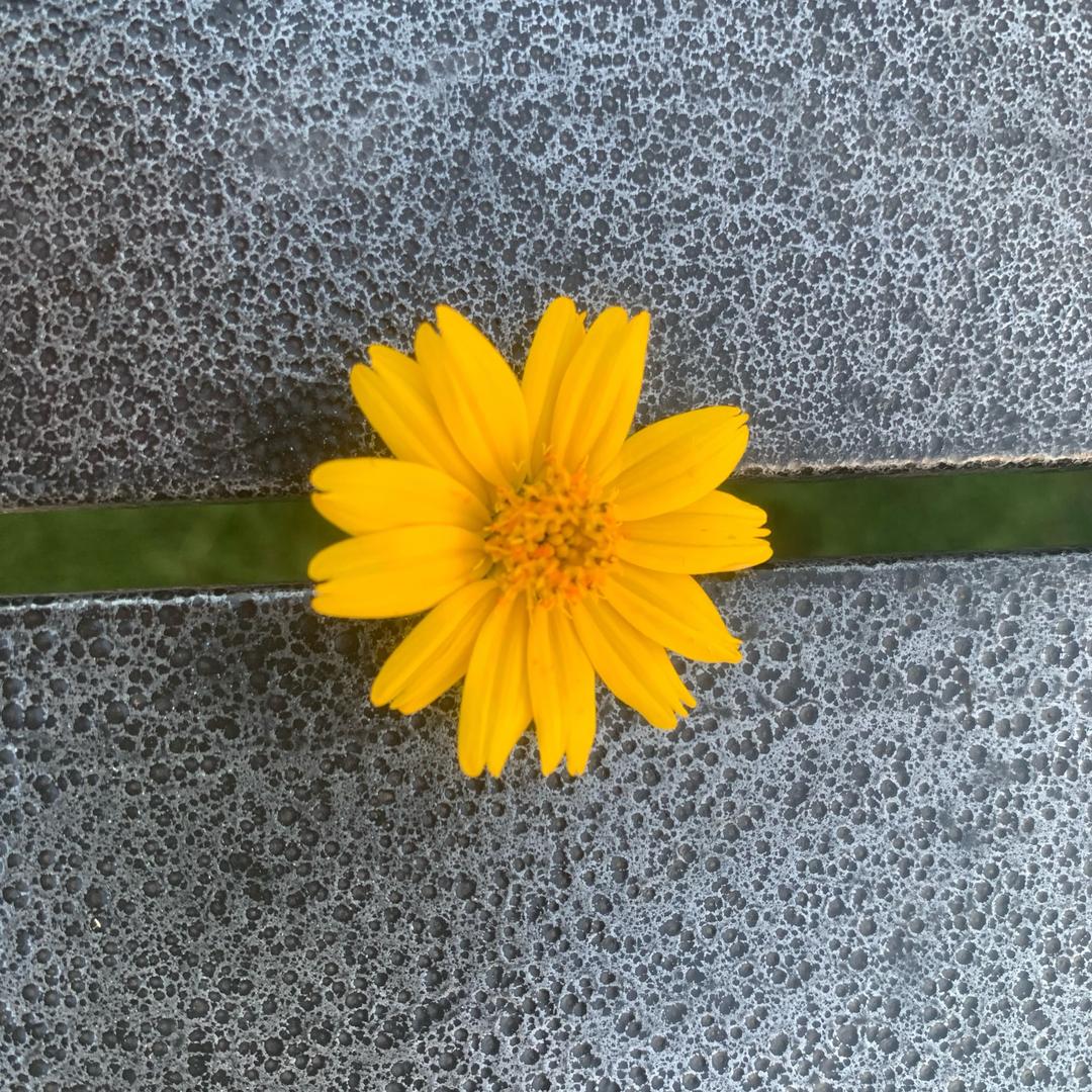 用户13894943794697664