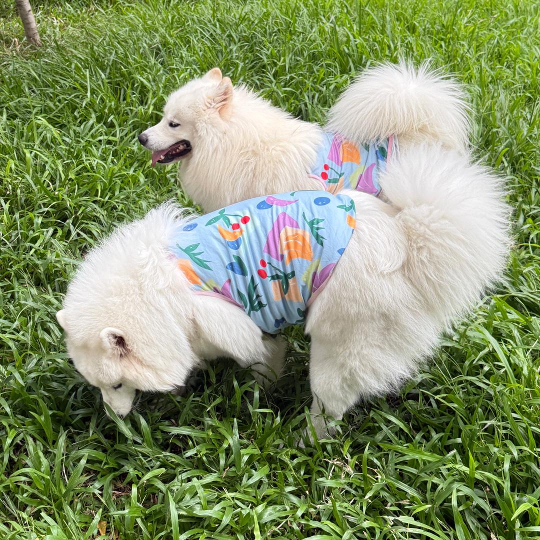 可萌可萌了₍˄·͈༝·͈˄*₎◞ ̑̑