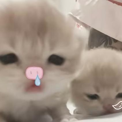 你长这么好看啥意思！