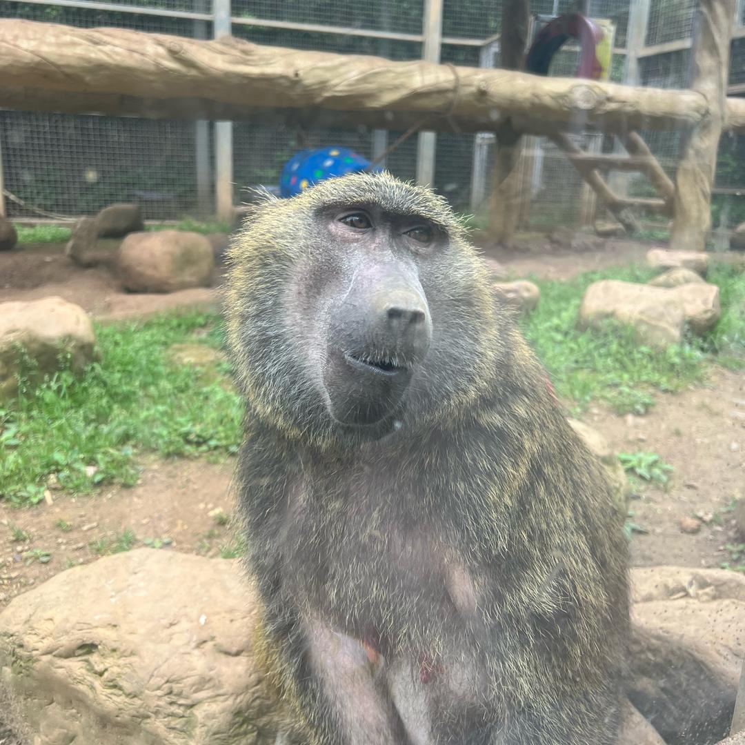 潘潘姐姐