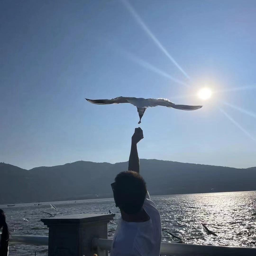 DY小无语