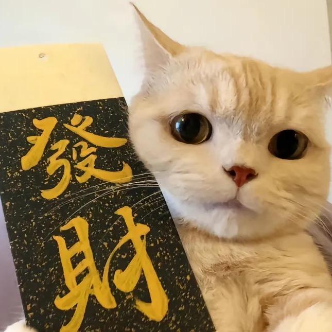 个性小陈（攒钱版本）