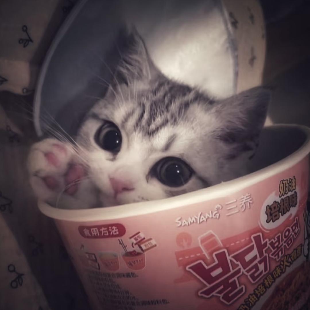 ccww.
