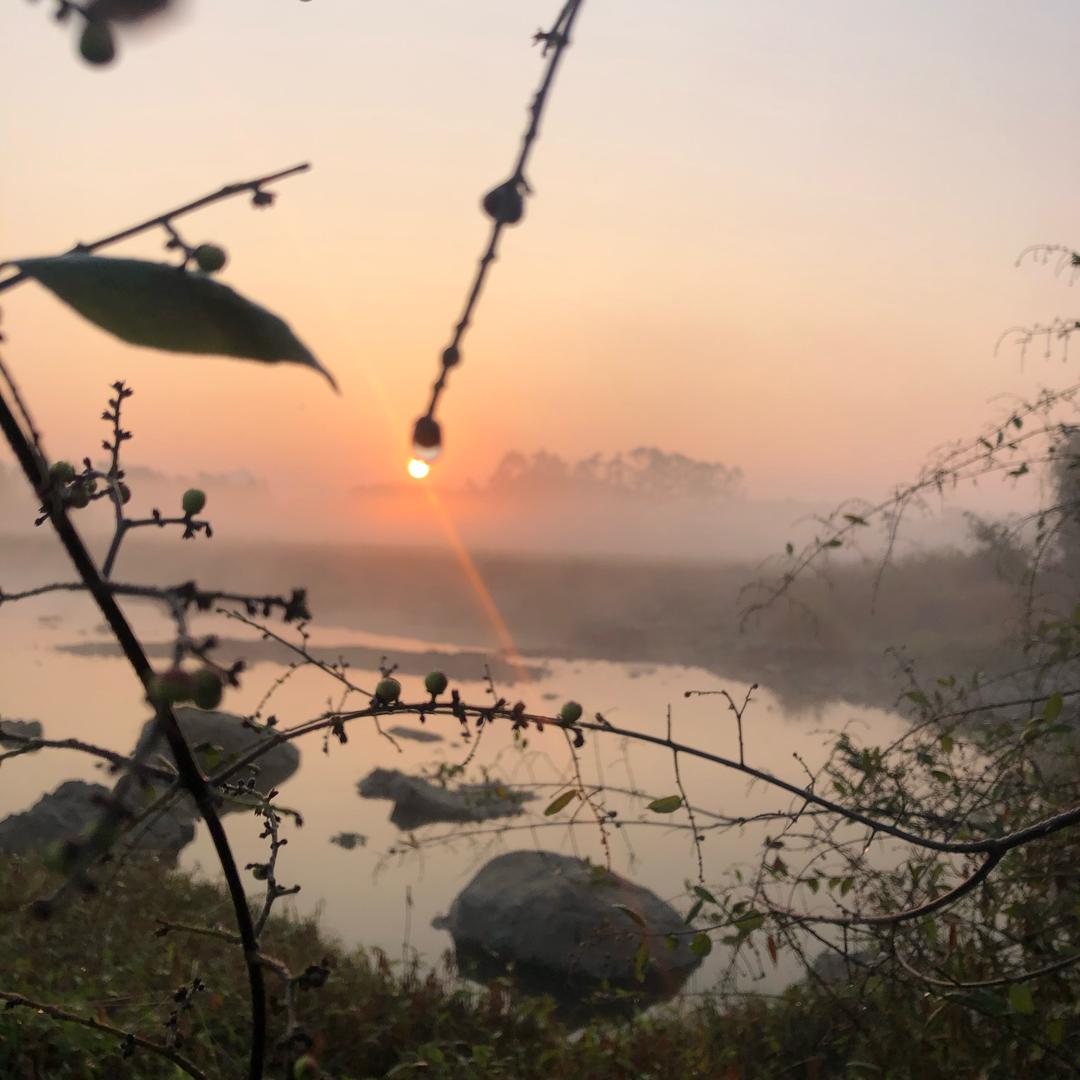 广西那个老杨啊