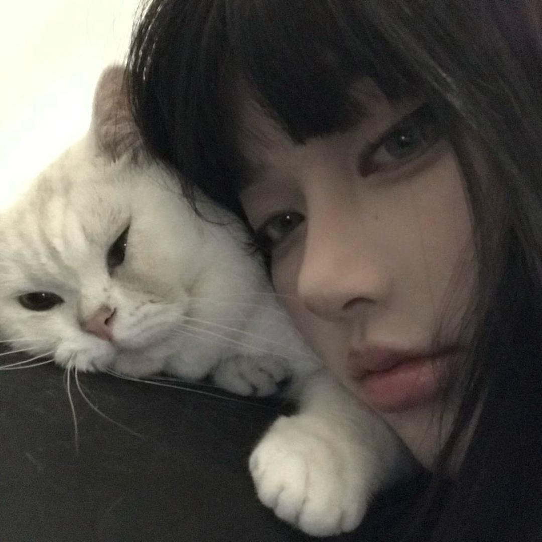 啵啵猴