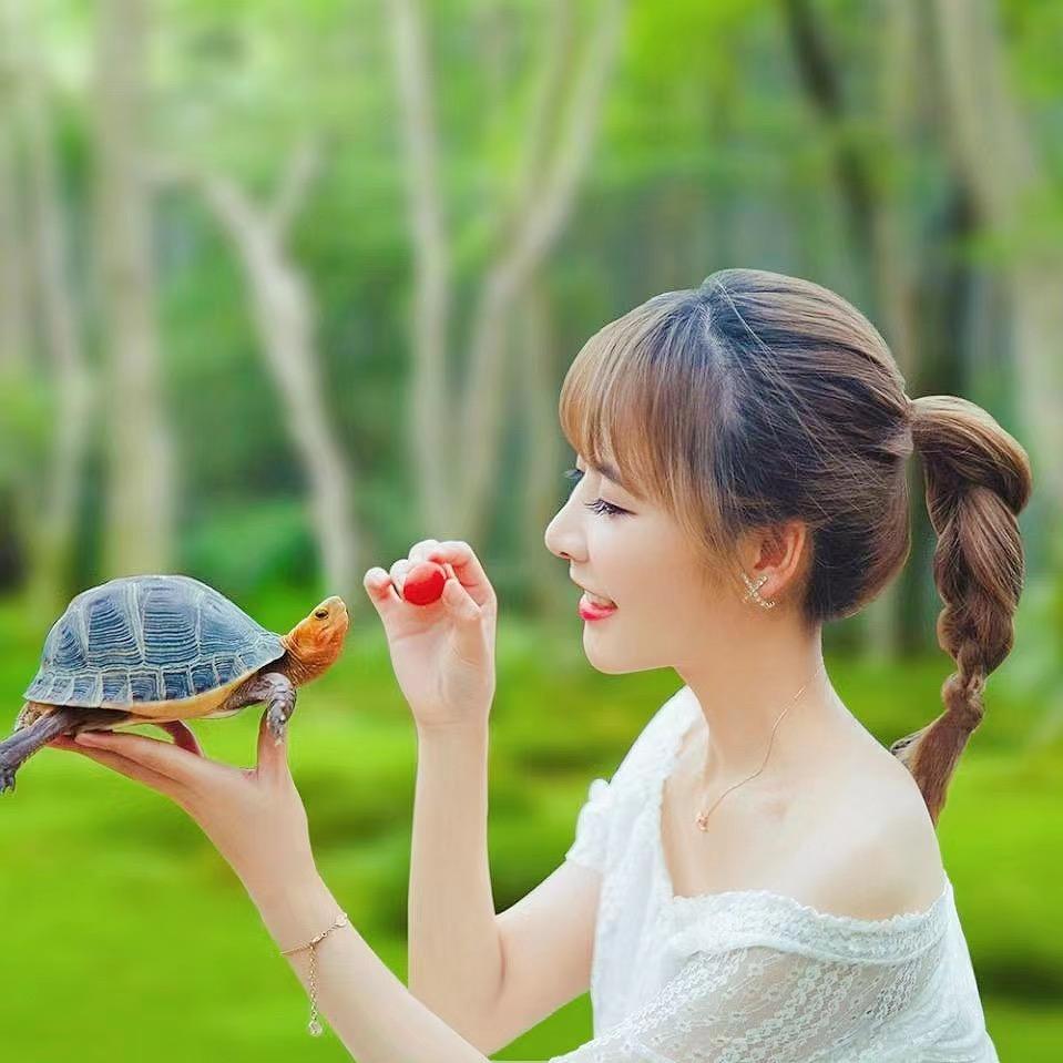 君哥的农场