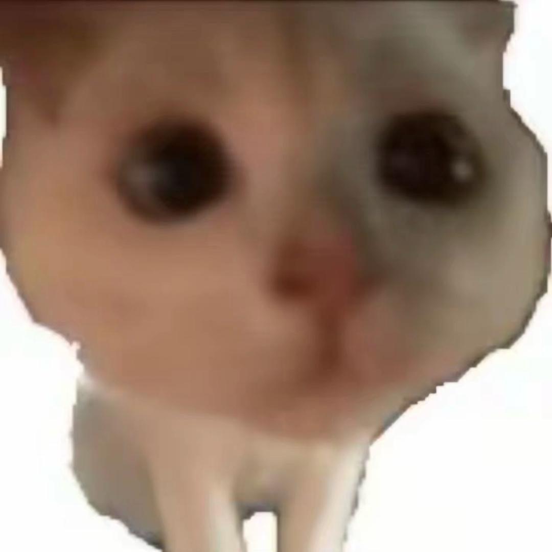 鸡柳大王