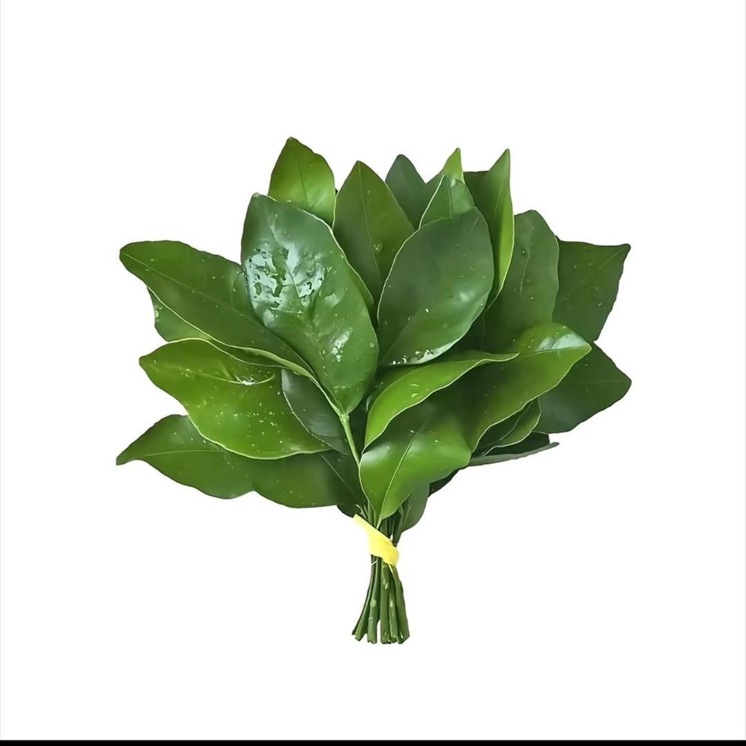 西伯利亚悍妇爱挖野菜的王宝钏ETC白羊女