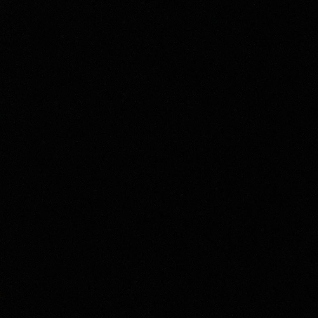 幸运燕儿-羊咩咩🐑