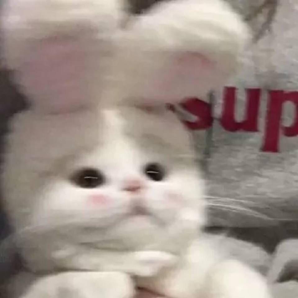 小许不小