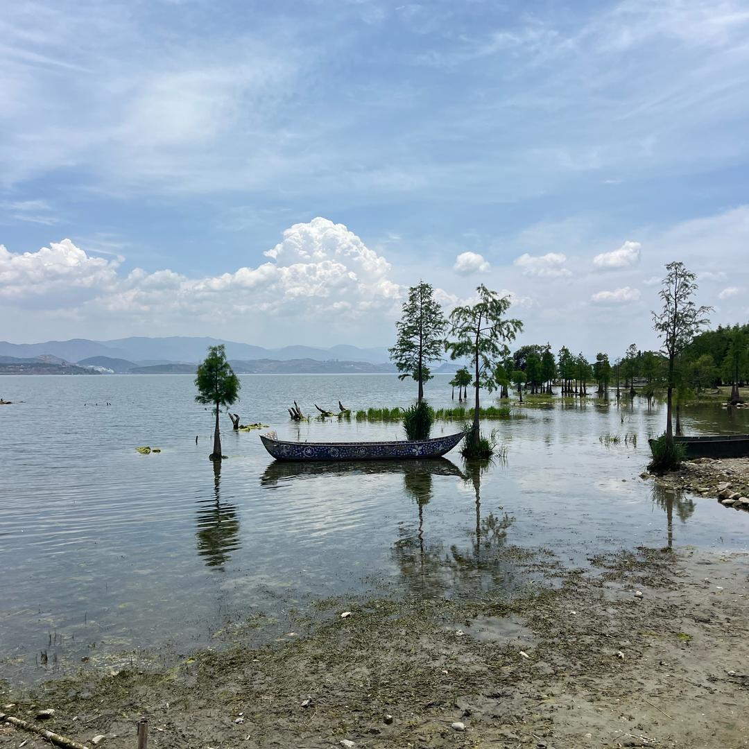 刘庆顺