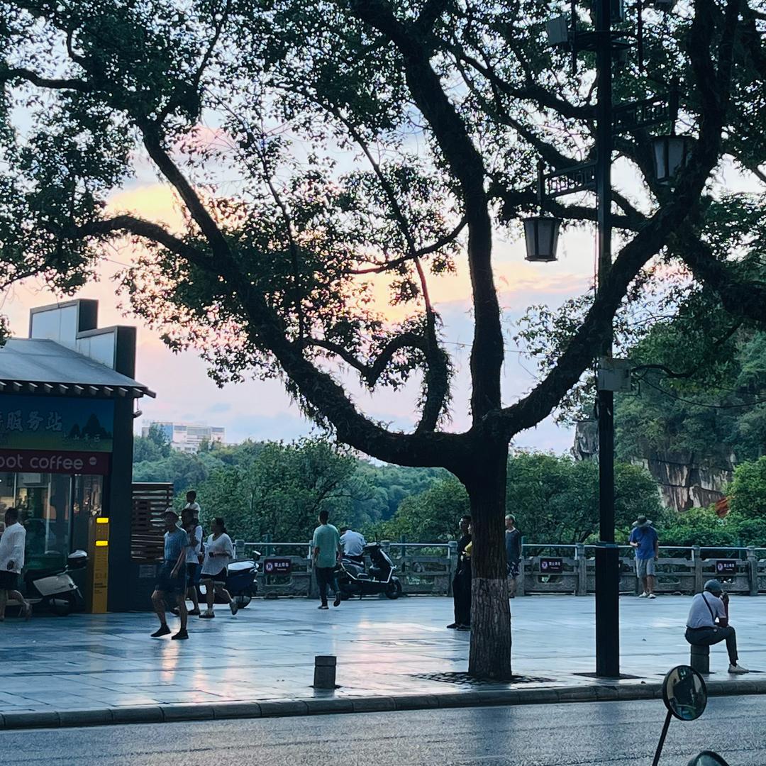 晚风吹来归期
