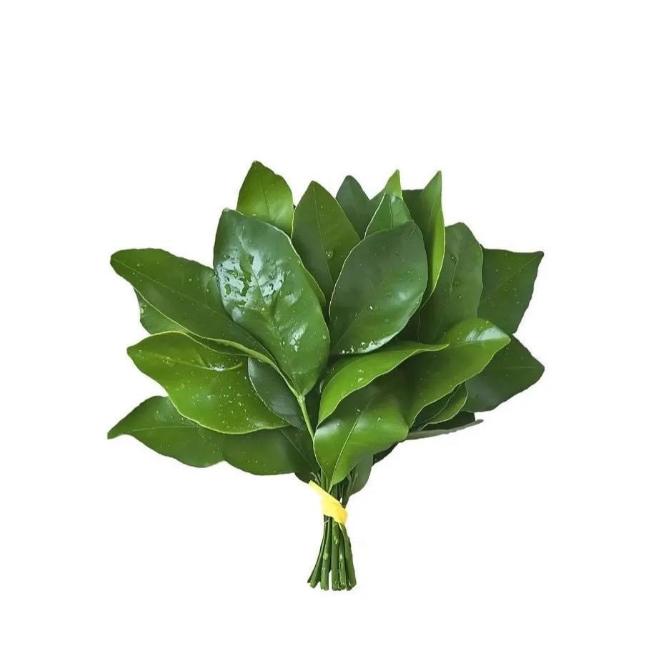 颠颠爱吃草莓尖尖