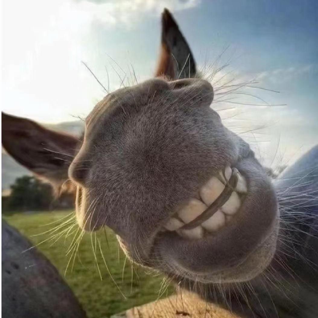 阿飞🎁（我是送快递的）