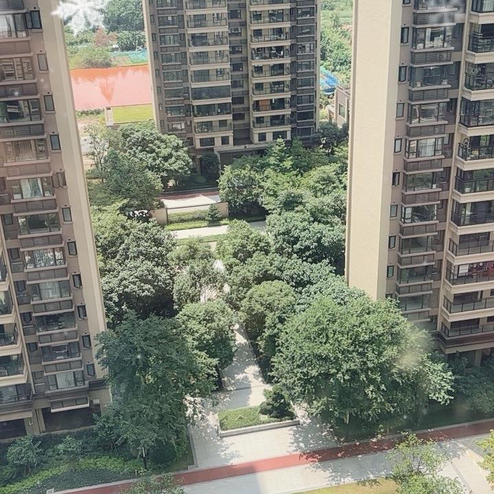唏唏哈哈