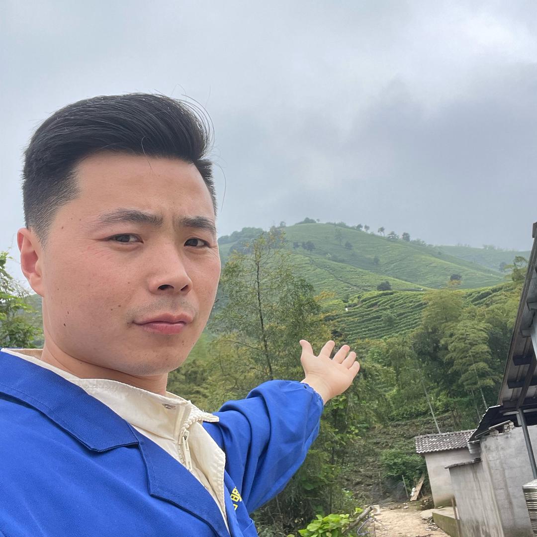 茗福茶叶  taotao