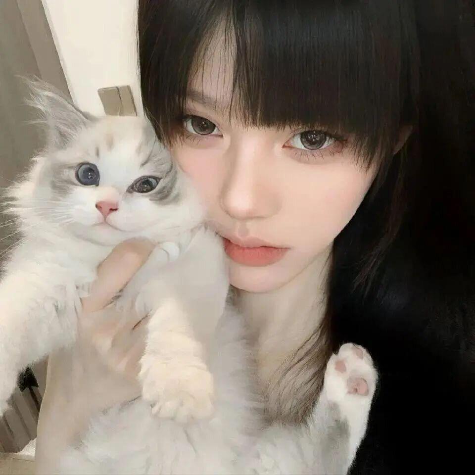 少走感情路