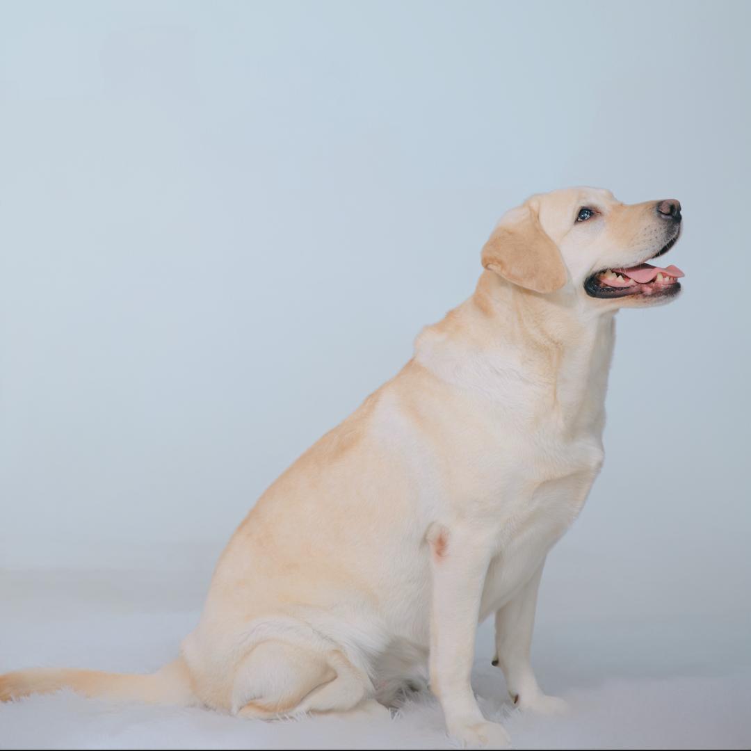 开心（英雄联盟）