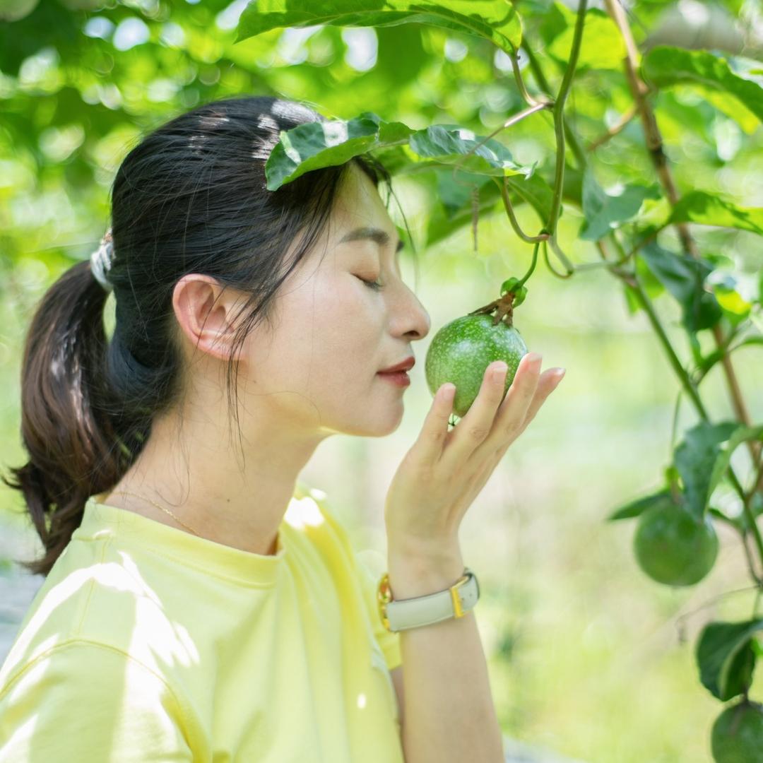 百香果女王