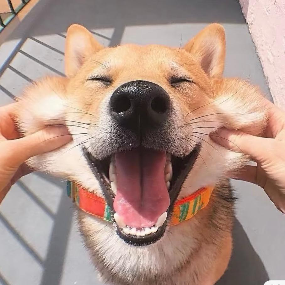 大懿了