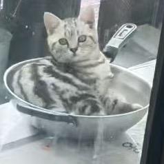 悦己