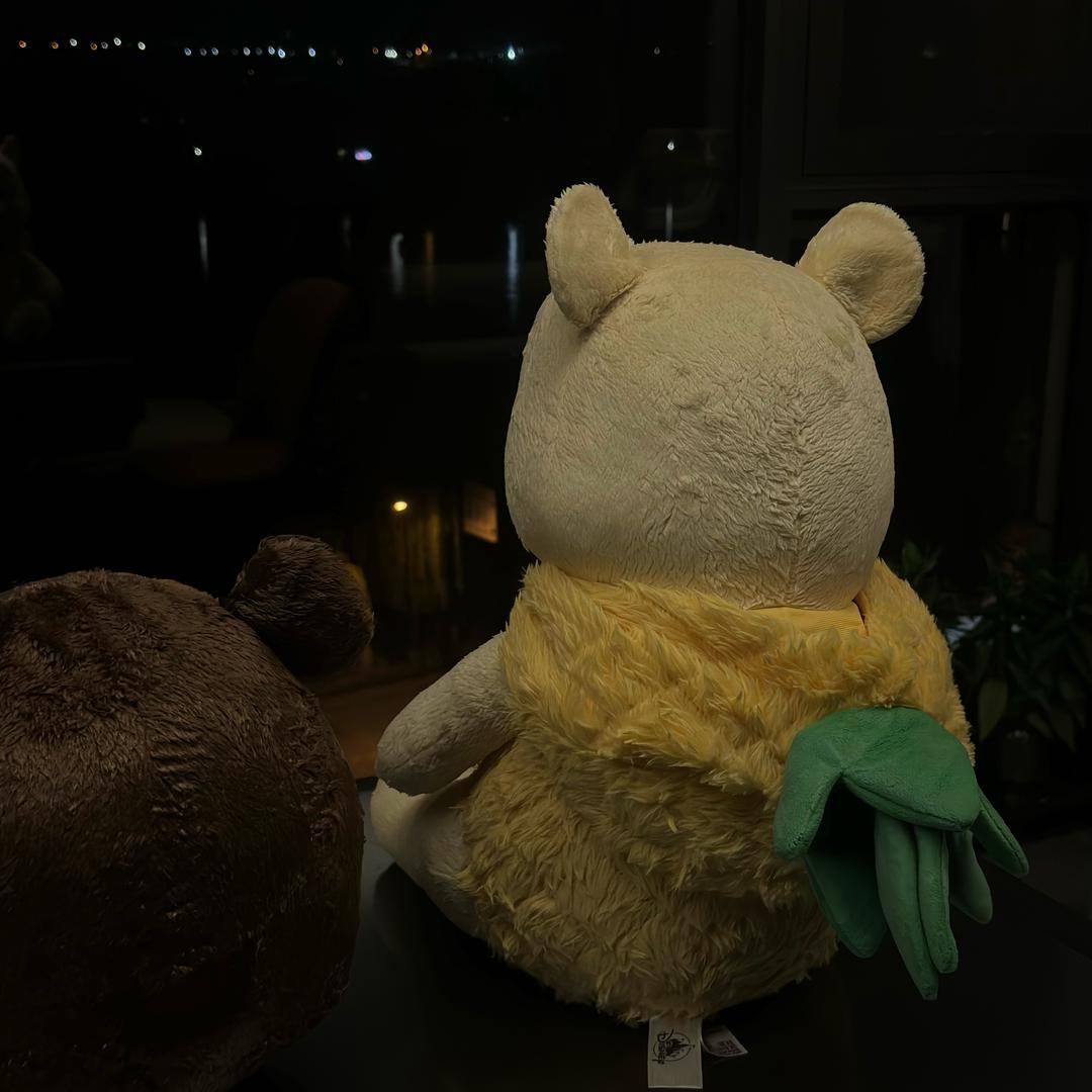 我不是洋菠萝